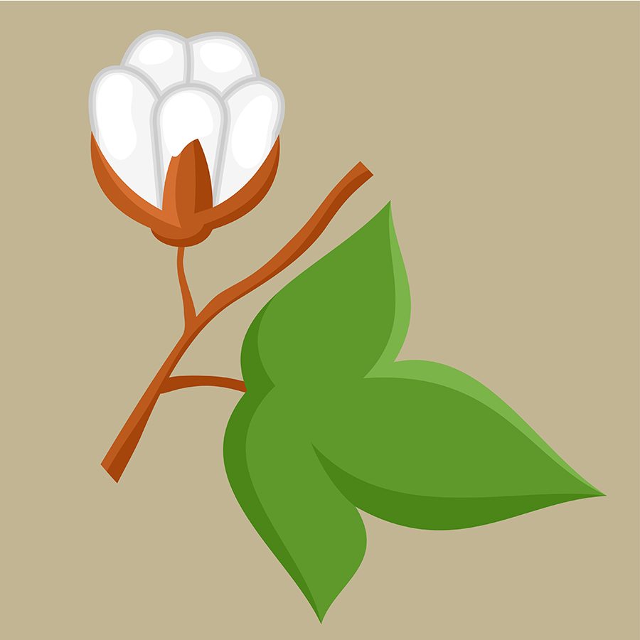 manuka