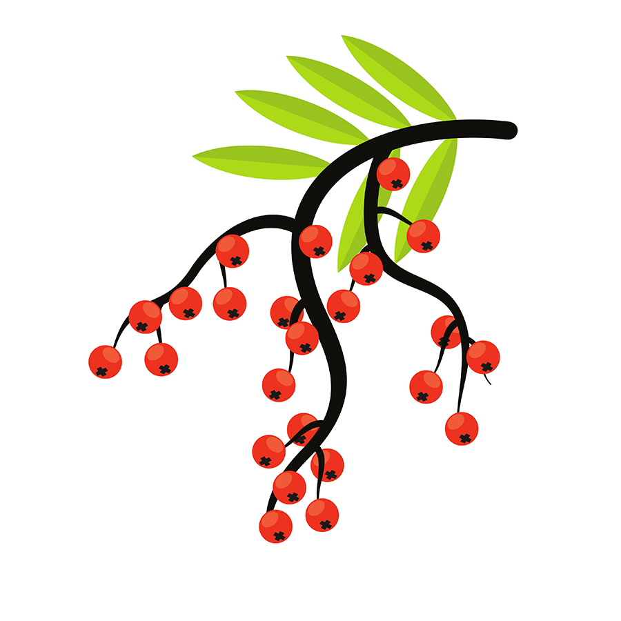 manuka